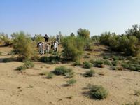 Besichtigung der Wüste während der Fahrt nach Schachrisabs