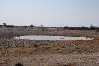 Jeepsafari Etosha Park. (3)
