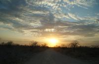 Jeepsafari Etosha Park. (23)