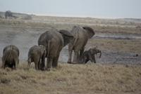 Etosha Nationalpark (28)