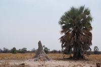 Etosha Nationalpark (37)