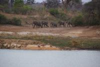 Bootssafari. Kavango (10)