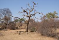 Bwabwata NP Schutzzone (2)