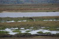 Bwabwata NP Schutzzone (9)