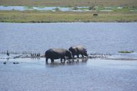 Bwabwata NP Schutzzone (15)