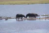 Bwabwata NP Schutzzone (18)