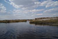 Bootsfahrt auf dem Kwando (7)