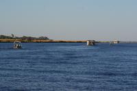 Chobe River Safari (37)