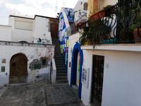 Forio, Rundgang mit Gabi