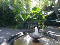 Forio, Rundgang mit Gabi, Garten La Mortella