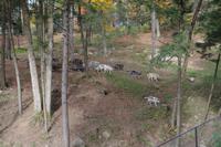 Omega Wildlife Park