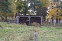 Omega Wildlife Park