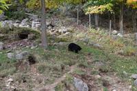 Omega Wildlife Park