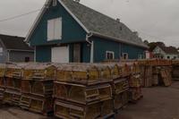 Landauflug Charlottetown und Anne of Green Gables