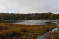 Fahrt zu Peggys Cove