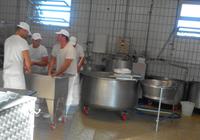 Italien - Nationalpark Cilento - Büffelfarm Vannulo, Capaccio