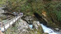 Vintgar Klamm Slowenien
