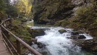 Fluss Radovna Vintgar Klamm