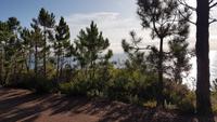 Ausblick im Esterelgebirge