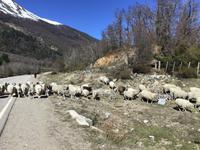 Sieben Seen Tour Argentinien 