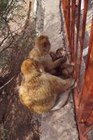 der Kleine stört beim lausen und wird wie eine Nervensäge behandelt