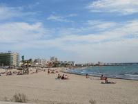 IMG_3311