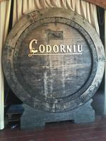 In der Sektkellerei Codorniu