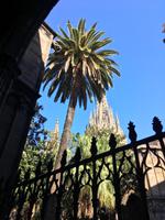 Der Blick im Kreuzgang nach oben