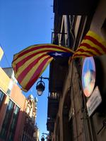 Die Flagge als Zeichen der Unabhängigkeitsbestrebungen