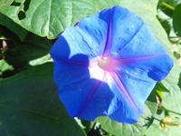 Italien - Sorrentinische Halbinsel - Wanderung Punta Campanella 