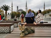 Wächter der Sultan Ahmet Moschee