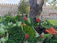 Und wird auch gleich vor Ort verkauft, frisch vom Beet sozusagen