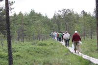 Wanderung im Lahemmaa-Nationalpark