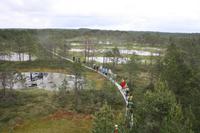 Wanderung im Lahemmaa-Nationalpark