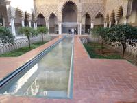 Im Garten des Alcazar