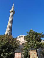 Aya Sofia