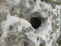 160_Wanderung durchs Mistra-Tal