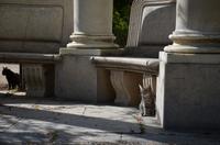 Gärten von Aranjuez