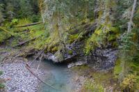 Johnston Canyon 5