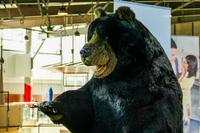 Tag 2 – Stadtbesichtigung Toronto (7)