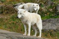 Tag 6 – Besuch Omega-Wildlife-Park (35)