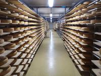 3.Tag Käserei in Kreuth (5)