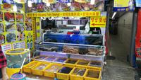 Busan Jagalchi Fischmarkt
