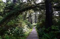 South Beach Trail