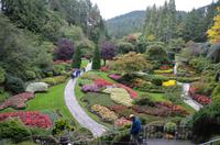Butchart Gardens 2