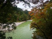 Shirokawago