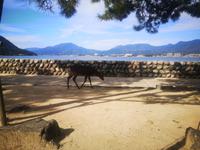 Insel Miyajima