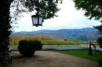 Quinta da Pacheca