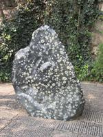 Drachentor-Grotten (8)