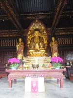 große Wildganspagode (2)